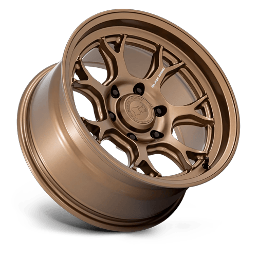 ETOSHA 17X8.5 6X4.5 66 -10 M-BRNZ