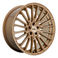 PREMIO 20X10.5 5X4.5 72 BZBR 40MM